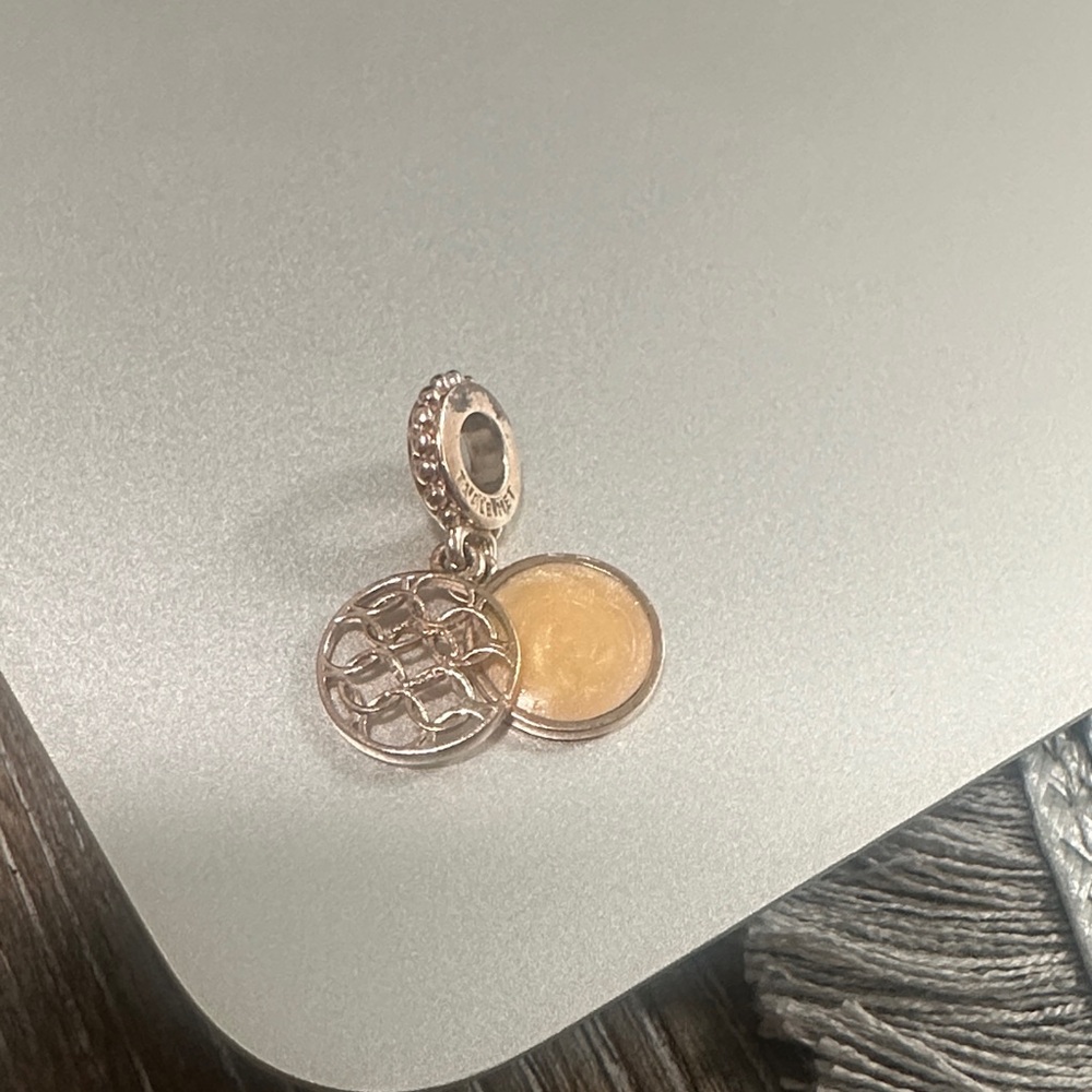 Pandora Gold and Silver Charm “Love Makes A Family”